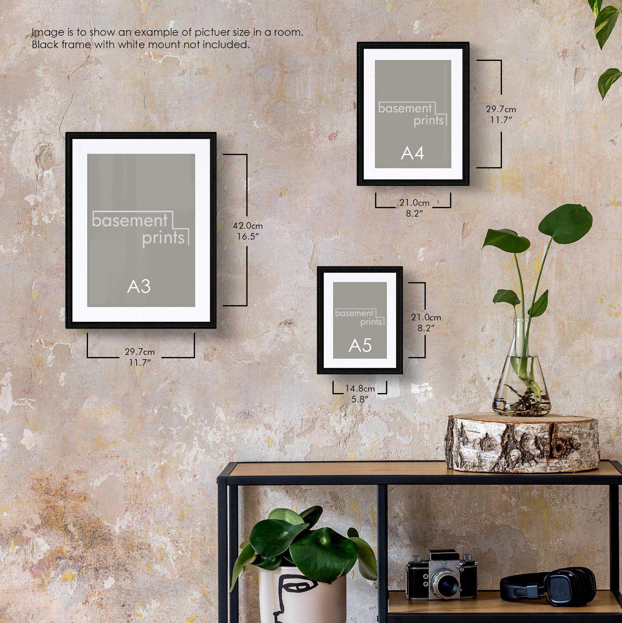 Framed portrait prints labelled A3, A4, and A5 on a wall with a shelf below.