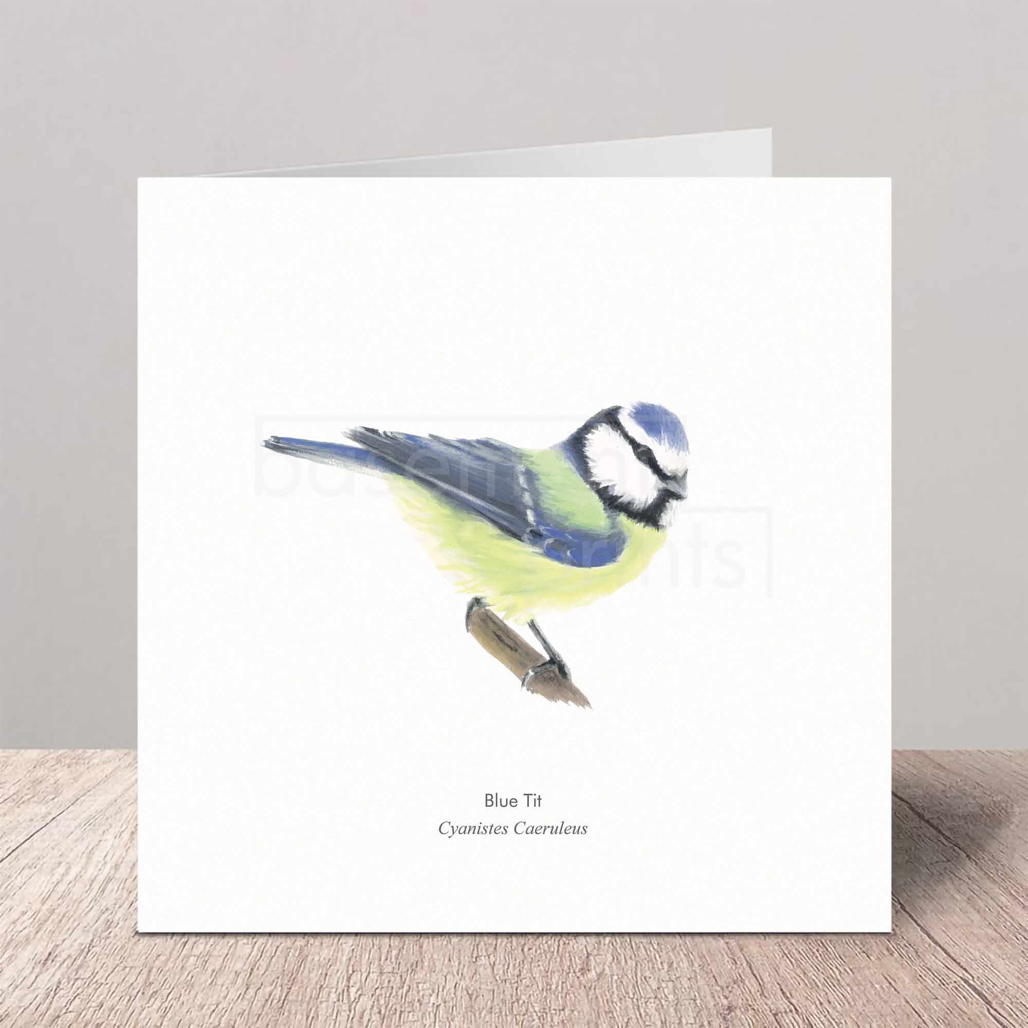 Greeting card with a blue tit illustration on a white background