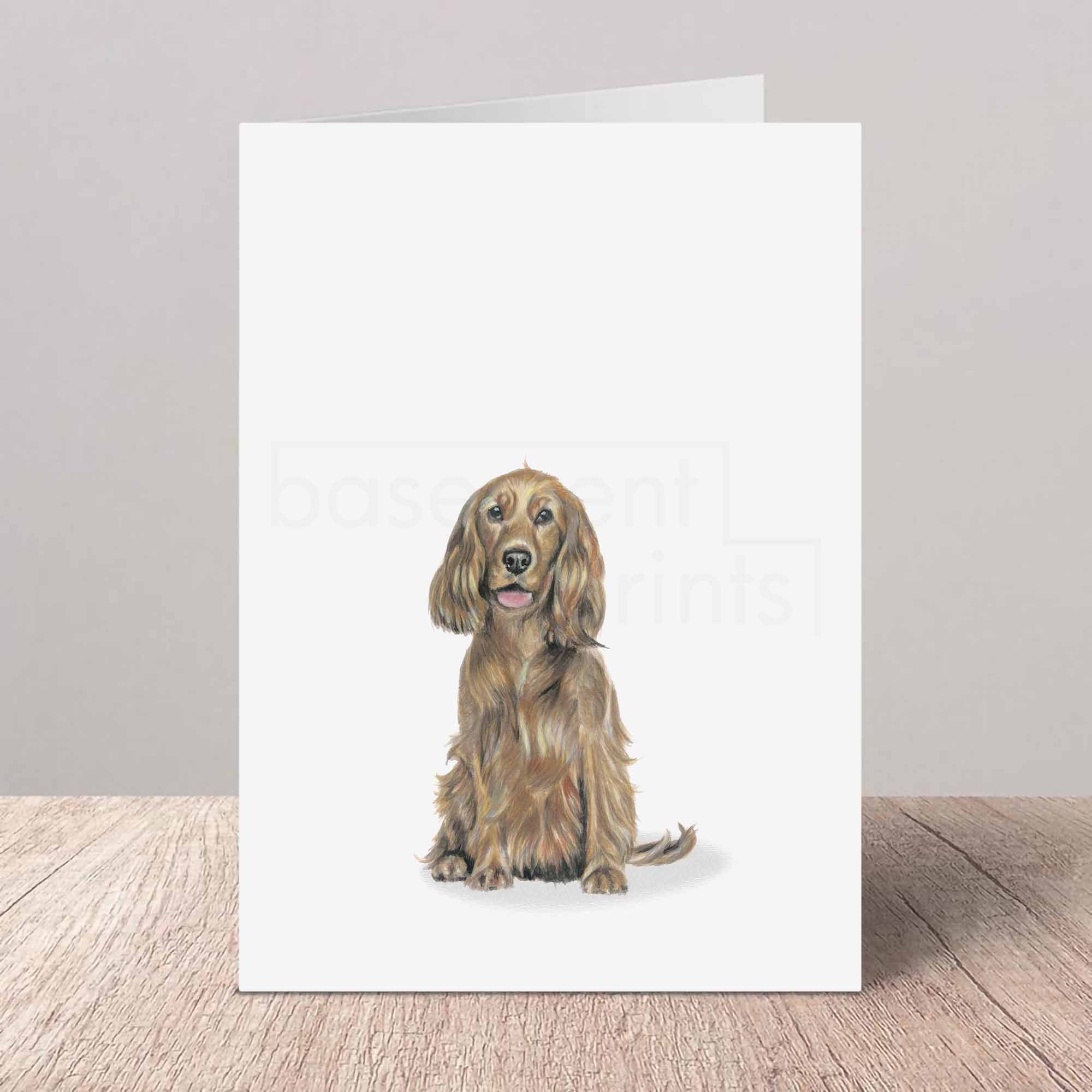 Greeting card with a golden brown Cocker Spaniel on a white background