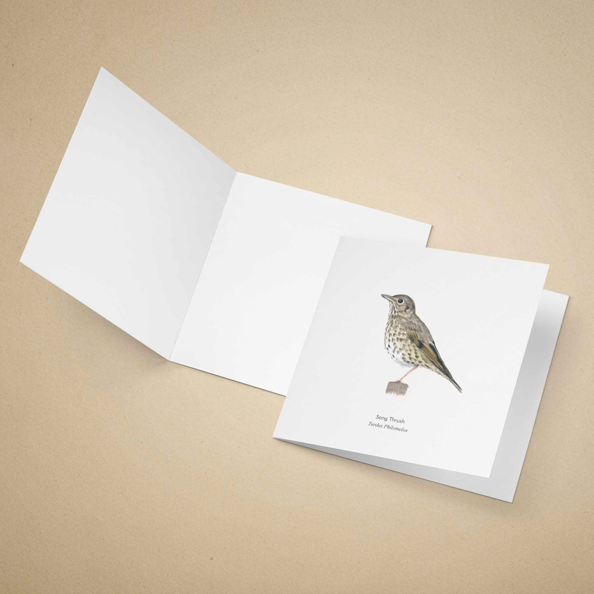 Greeting card with a song thrush illustration on a beige background