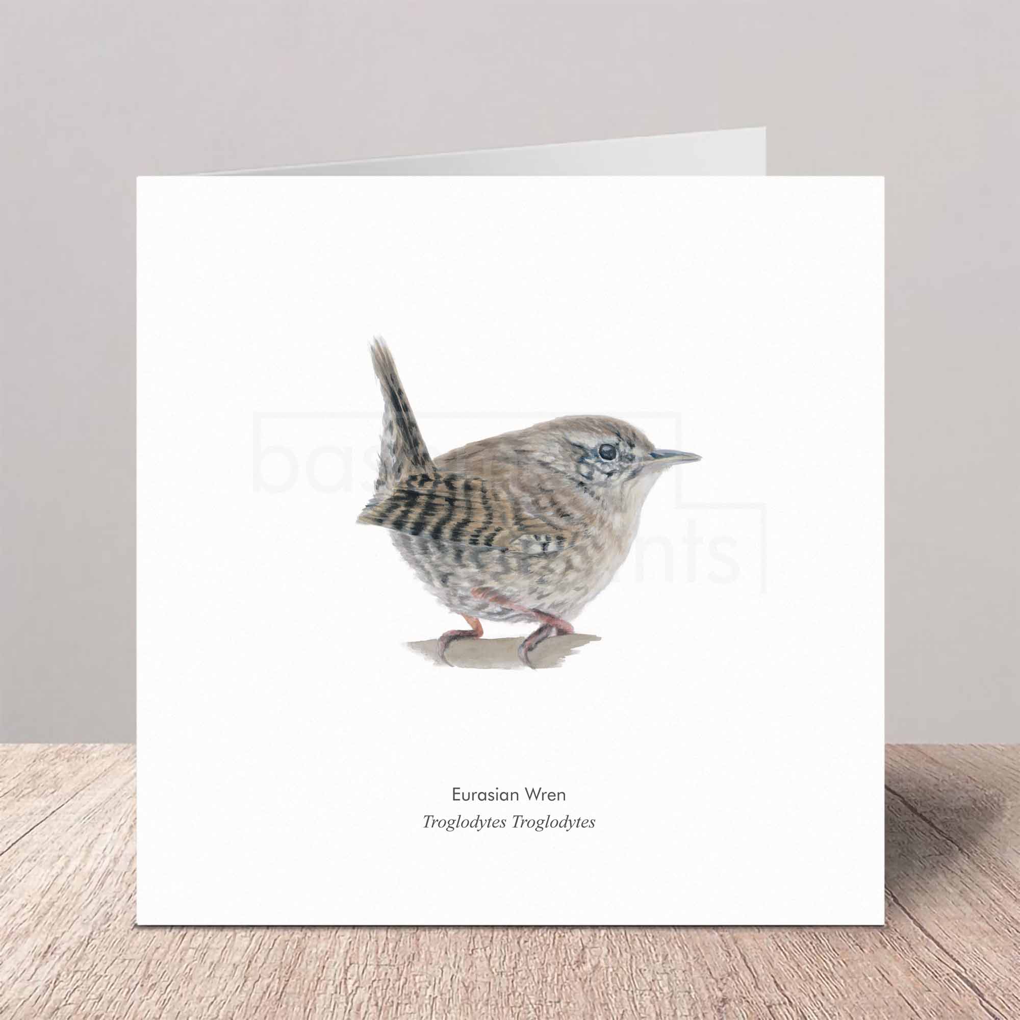 Greeting card with a Eurasian Wren illustration on a white background