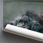 Rolled poster artwork of a cockapoo dog in watercolour