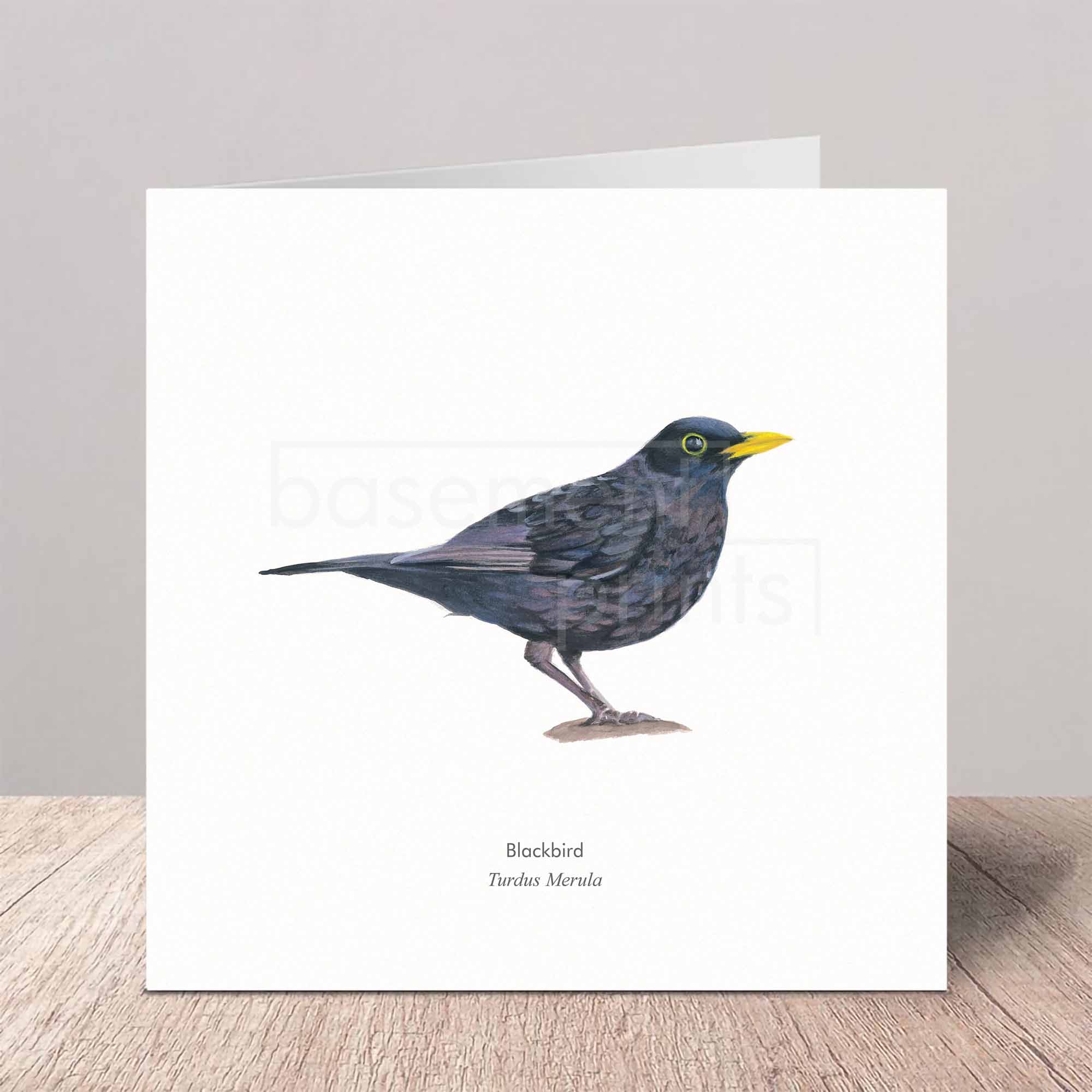 Greeting card with a blackbird illustration on a white background