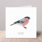 Greeting card with a Eurasian Bullfinch illustration on a wooden surface.