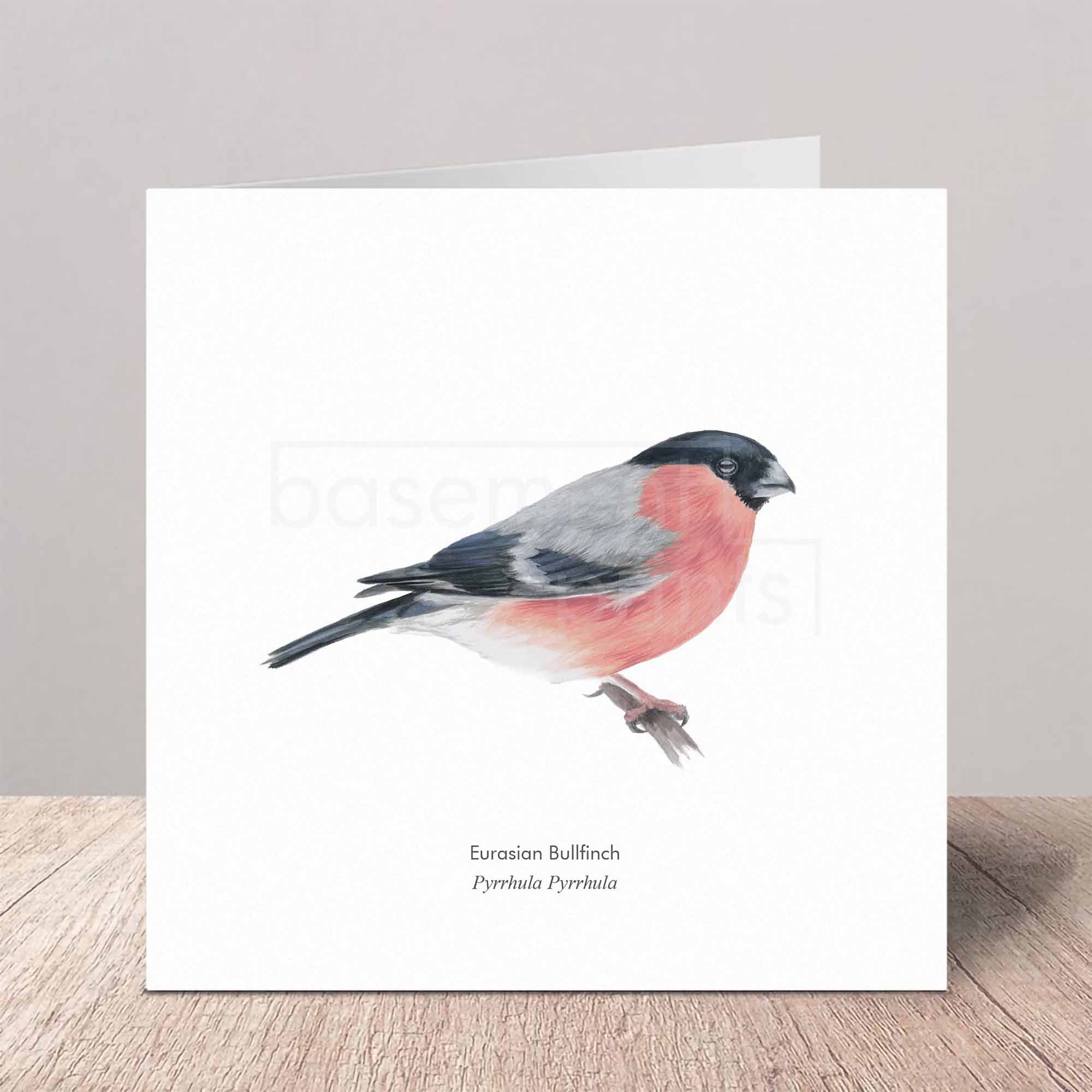 Greeting card with a Eurasian Bullfinch illustration on a wooden surface.