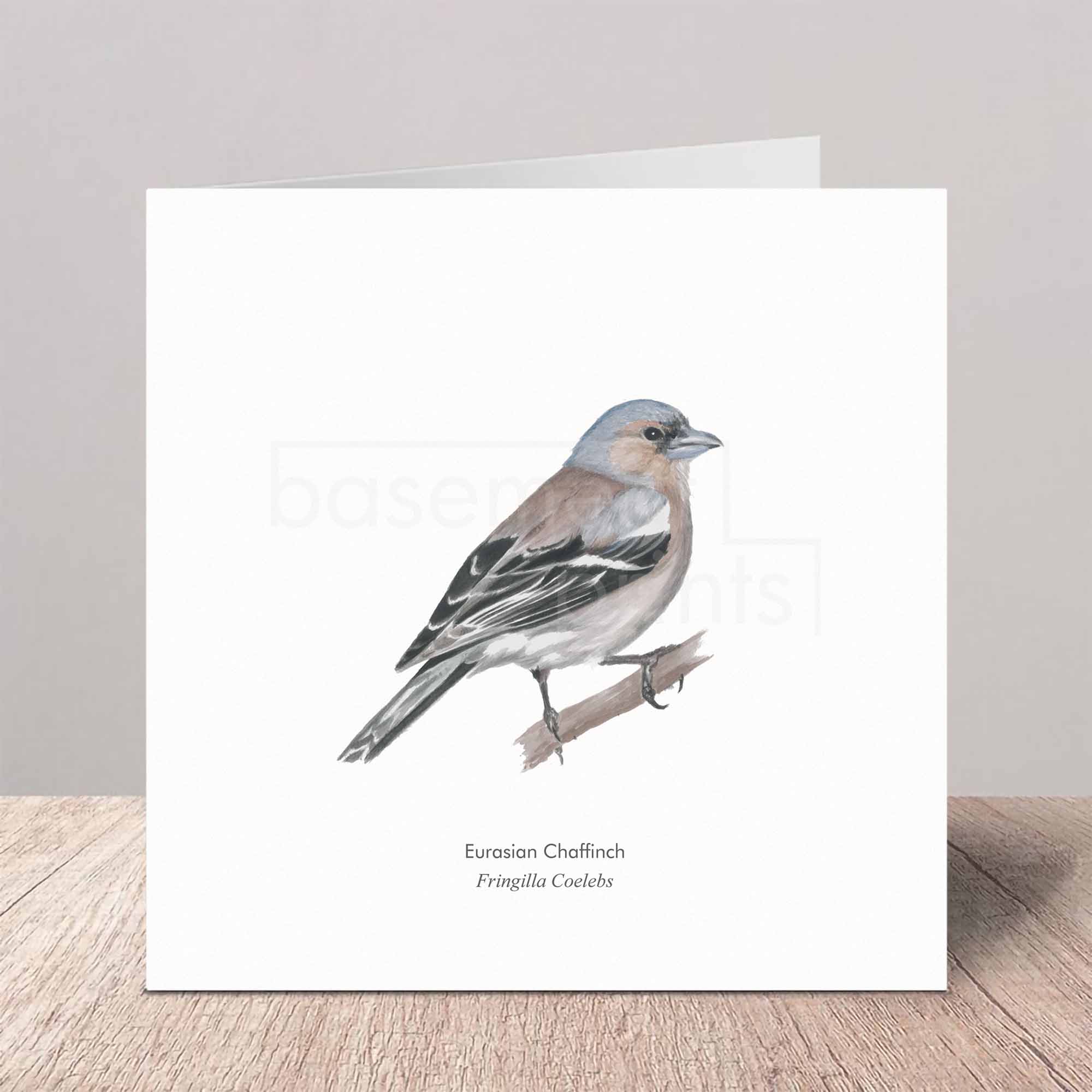 Greeting card with a Eurasian Chaffinch illustration on a white background