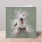 Greeting card of an English Bull Terrier dog on a gray background