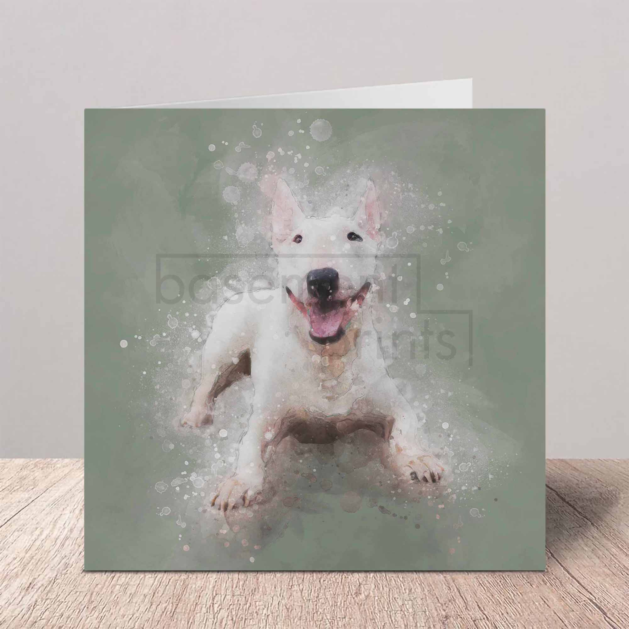 Greeting card of an English Bull Terrier dog on a gray background