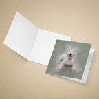 Greeting card with an English Bull Terrier dog illustration on a beige background