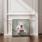 Framed artwork of an English Bull Terrier dog on a wall in a room with wooden flooring and white walls.