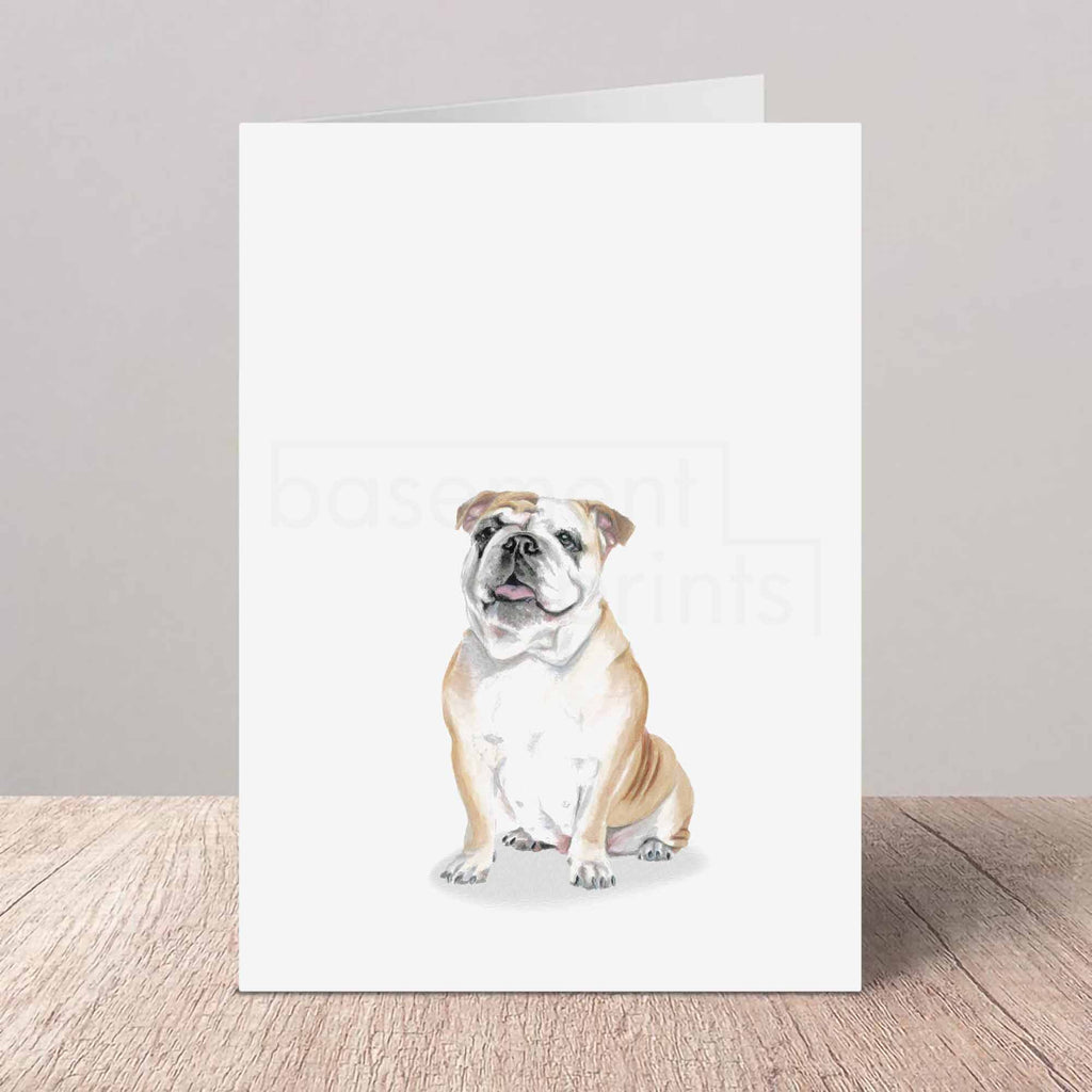 Greeting card with an English bulldog on a white background