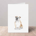 Greeting card with an English bulldog on a white background