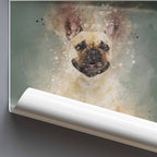 Rolled poster of a French Bulldog with watercolor texture on a gray background