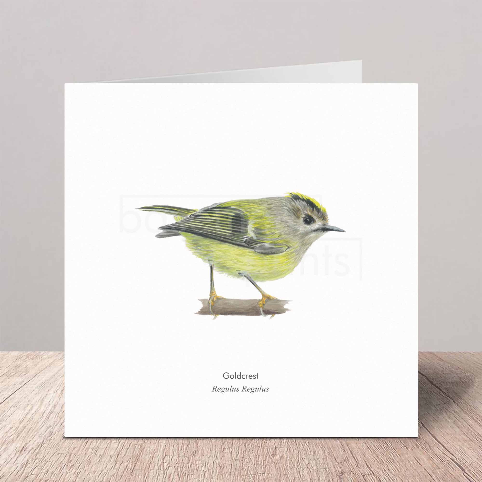 Greeting card with a goldcrest illustration on a white background