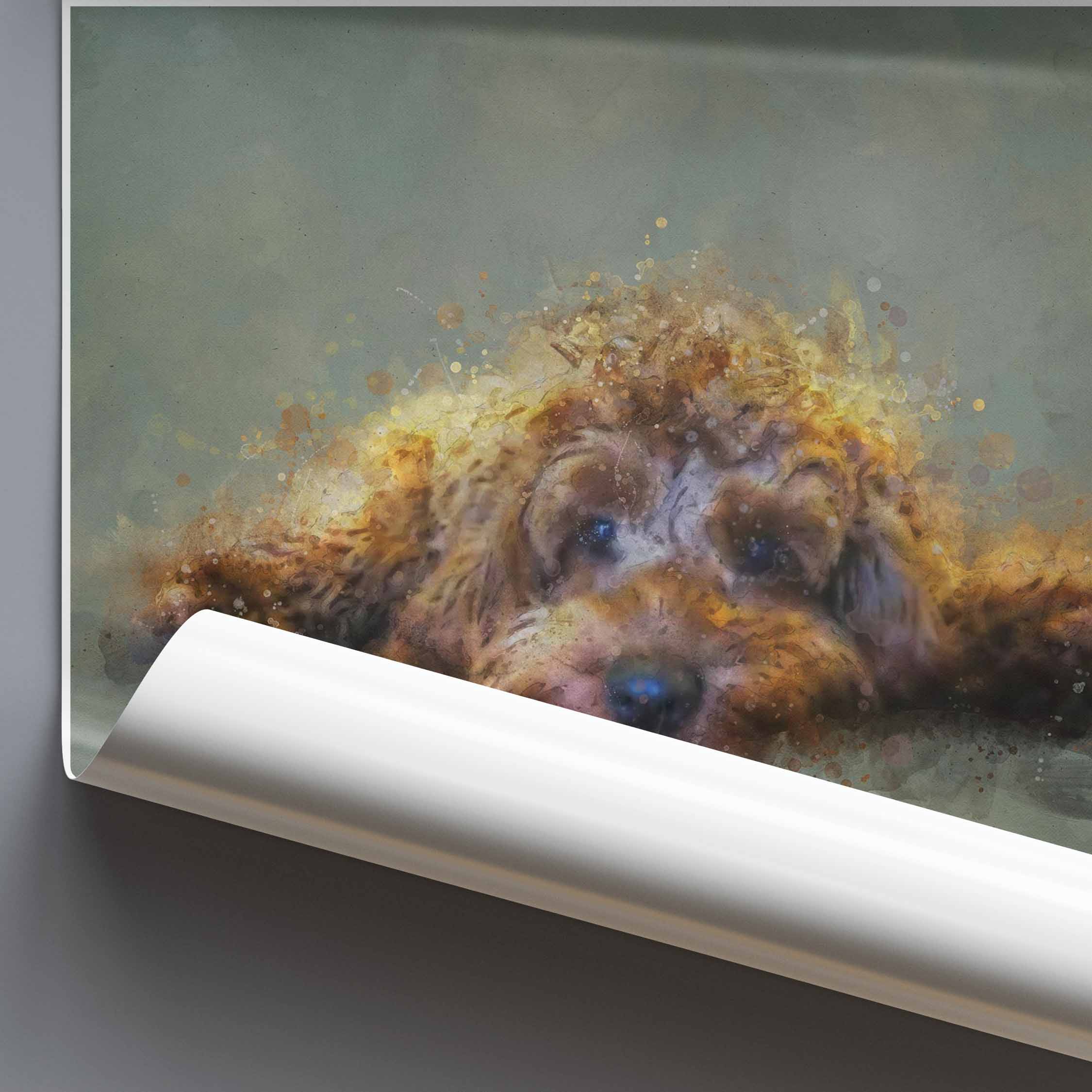 Rolled poster of a golden cockapoo dog on a grey background.