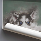 Rolled up poster of a Husky dog on a grey backgorund.