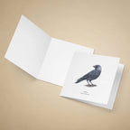 An open white folded greeting card beige background, with the front flap showing a printed illustration of a Jackdaw and latin name beneath it.