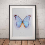 Framed artwork of a blue butterfly on a light background, leaning against a textured white wall.