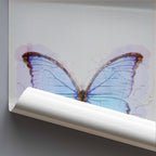 Rolled poster of a butterfly illustration on graph paper with a grey background.