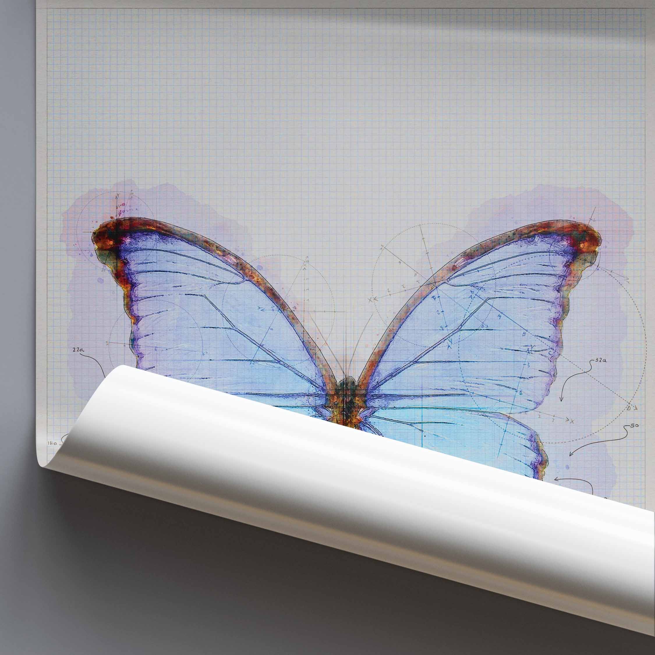 Rolled poster of a butterfly illustration on graph paper with a grey background.