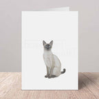 Greeting card with a Siamese cat on a white background