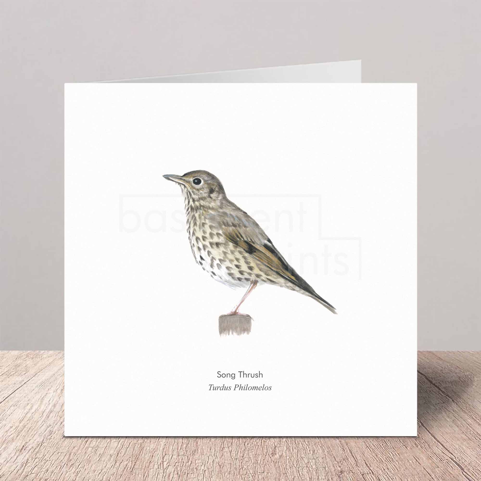 Greeting card with a song thrush illustration on a white background
