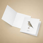 Greeting card with a song thrush illustration on a beige background