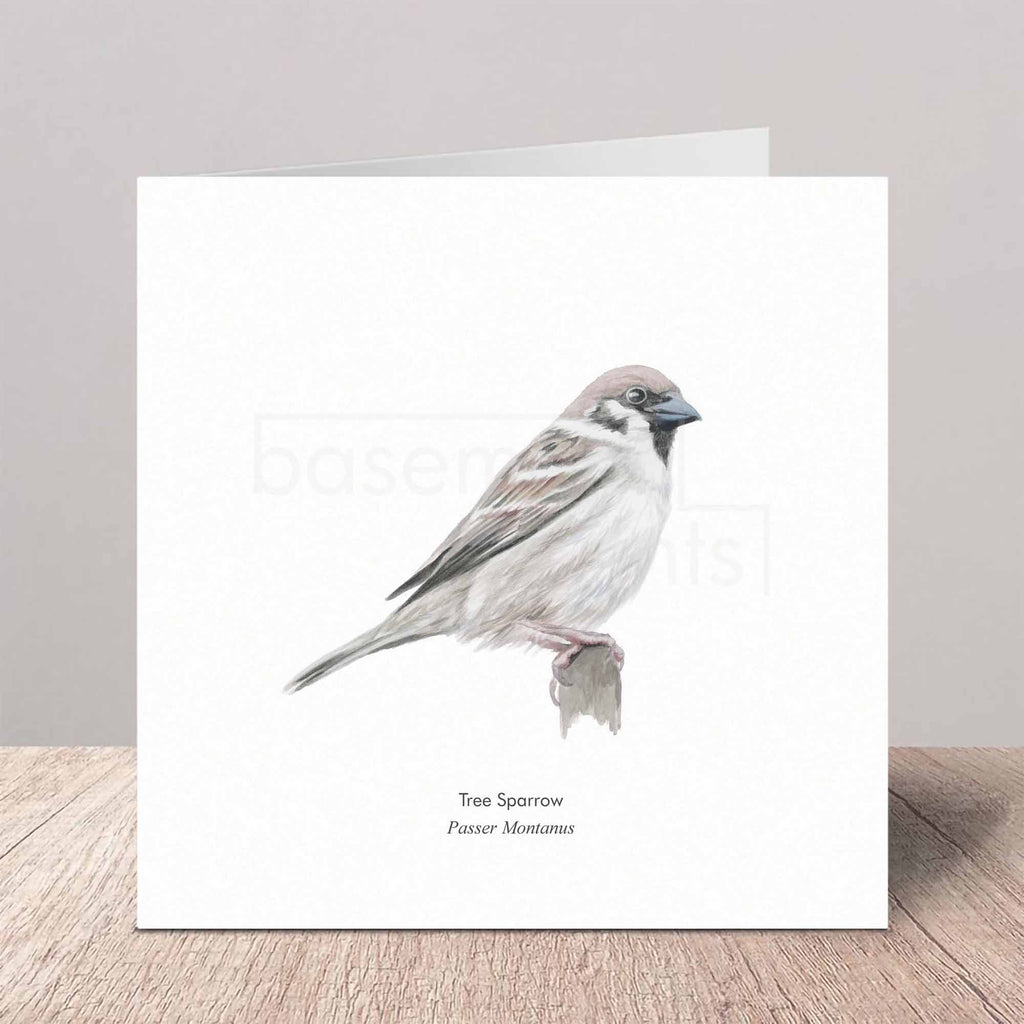 Greeting card with a tree sparrow illustration on a white background
