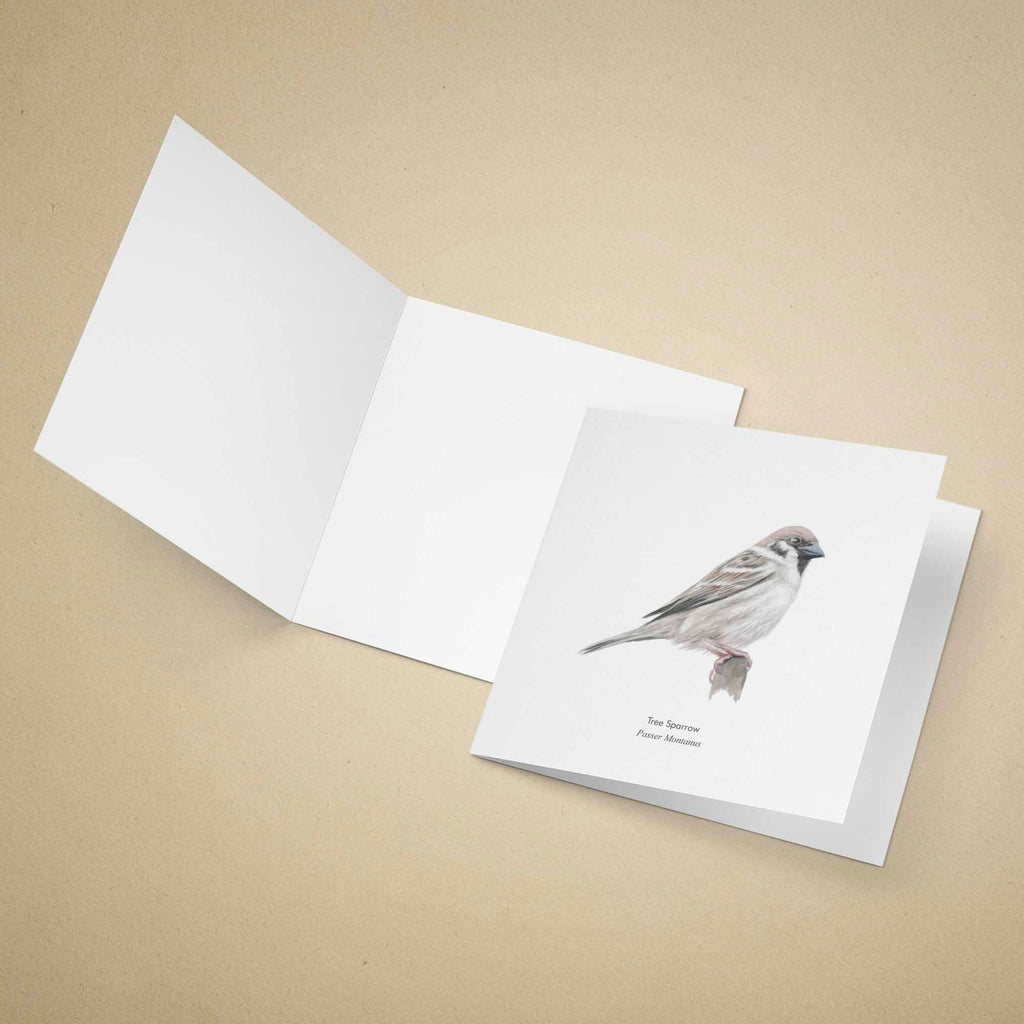 Greeting card with a sparrow illustration on a beige background