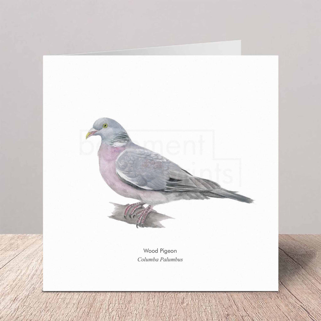 Greeting card with a wood pigeon illustration on a white background