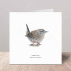 Greeting card with a Eurasian Wren illustration on a white background